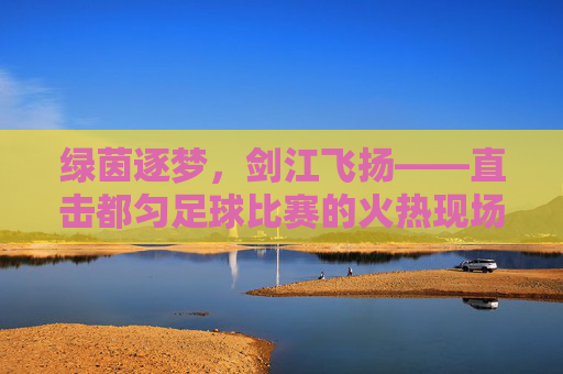 绿茵逐梦，剑江飞扬——直击都匀足球比赛的火热现场