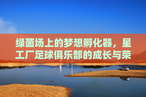 绿茵场上的梦想孵化器，星工厂足球俱乐部的成长与荣耀