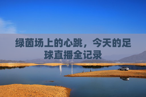 绿茵场上的心跳，今天的足球直播全记录