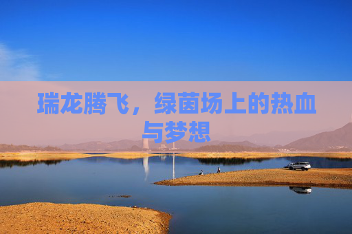 瑞龙腾飞，绿茵场上的热血与梦想