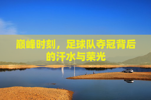 巅峰时刻，足球队夺冠背后的汗水与荣光
