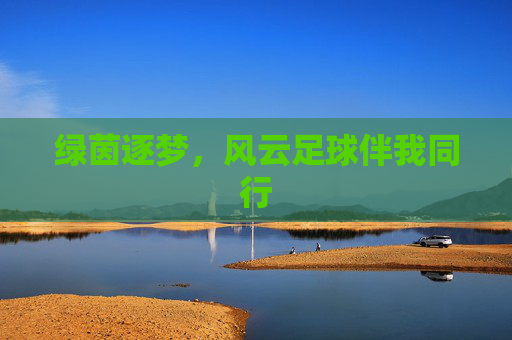 绿茵逐梦，风云足球伴我同行