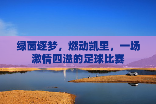 绿茵逐梦，燃动凯里，一场激情四溢的足球比赛