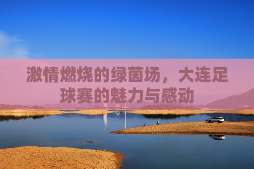 激情燃烧的绿茵场，大连足球赛的魅力与感动