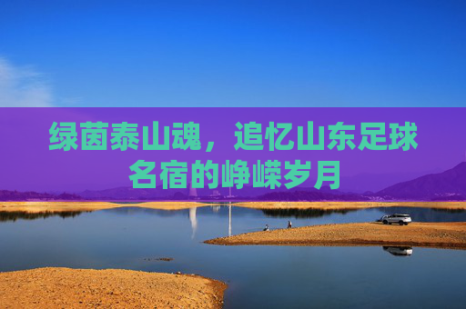 绿茵泰山魂，追忆山东足球名宿的峥嵘岁月