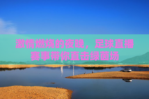 激情燃烧的夜晚，足球直播赛事带你直击绿茵场