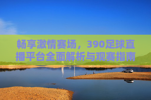 畅享激情赛场，390足球直播平台全面解析与观赛指南