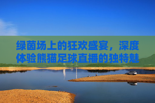 绿茵场上的狂欢盛宴，深度体验熊猫足球直播的独特魅力