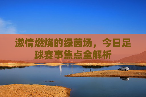激情燃烧的绿茵场，今日足球赛事焦点全解析