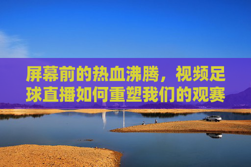 屏幕前的热血沸腾，视频足球直播如何重塑我们的观赛体验