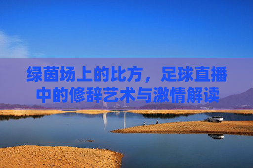 绿茵场上的比方，足球直播中的修辞艺术与激情解读