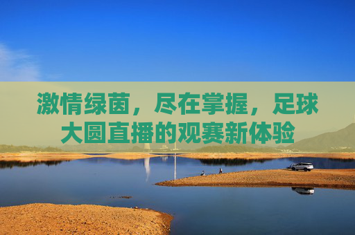 激情绿茵，尽在掌握，足球大圆直播的观赛新体验