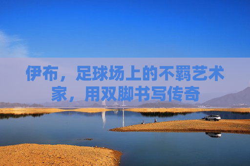 伊布，足球场上的不羁艺术家，用双脚书写传奇