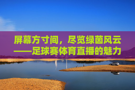 屏幕方寸间，尽览绿茵风云——足球赛体育直播的魅力与激情