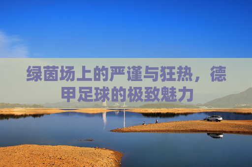 绿茵场上的严谨与狂热，德甲足球的极致魅力