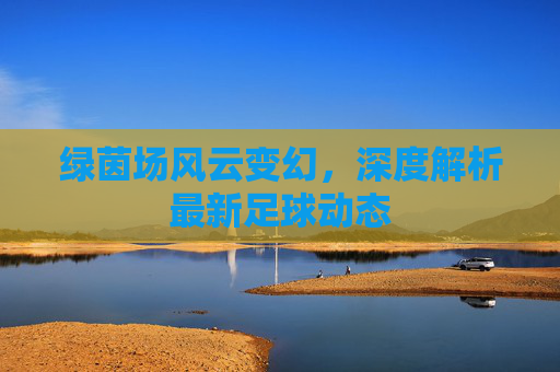 绿茵场风云变幻，深度解析最新足球动态