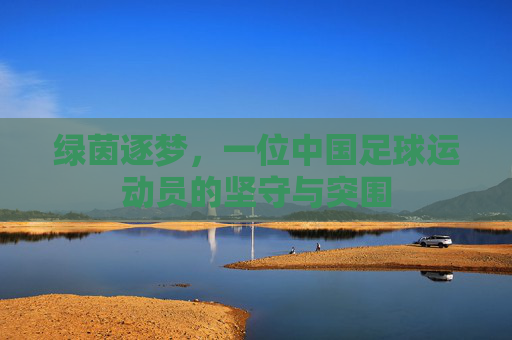 绿茵逐梦，一位中国足球运动员的坚守与突围