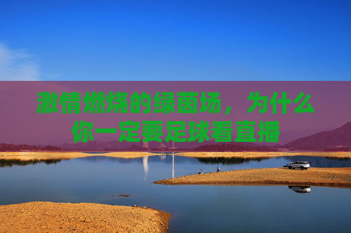 激情燃烧的绿茵场，为什么你一定要足球看直播