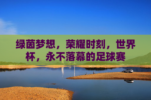 绿茵梦想，荣耀时刻，世界杯，永不落幕的足球赛