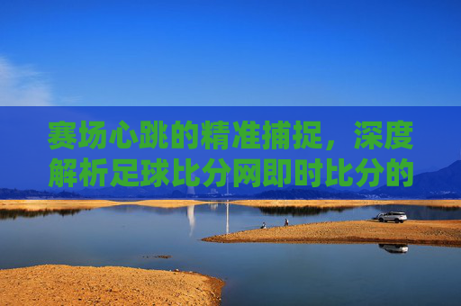 赛场心跳的精准捕捉，深度解析足球比分网即时比分的使用价值与体验