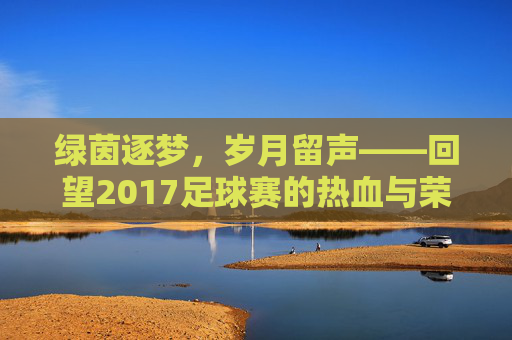 绿茵逐梦，岁月留声——回望2017足球赛的热血与荣光