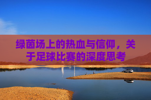 绿茵场上的热血与信仰，关于足球比赛的深度思考