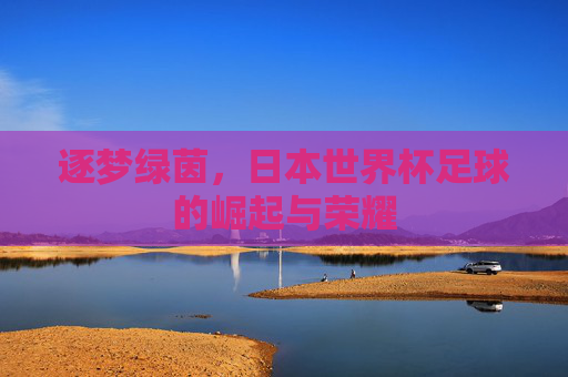 逐梦绿茵，日本世界杯足球的崛起与荣耀
