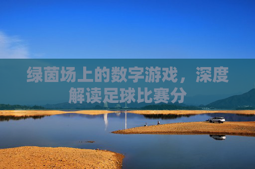 绿茵场上的数字游戏，深度解读足球比赛分