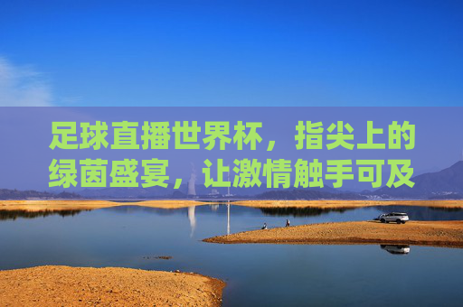 足球直播世界杯，指尖上的绿茵盛宴，让激情触手可及
