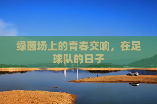 绿茵场上的青春交响，在足球队的日子