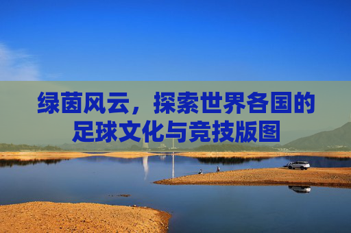绿茵风云，探索世界各国的足球文化与竞技版图