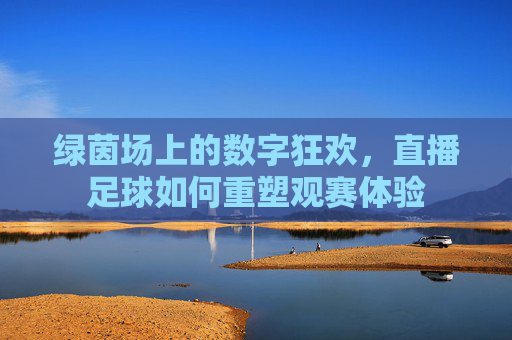绿茵场上的数字狂欢，直播足球如何重塑观赛体验