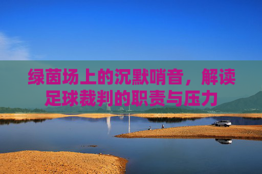 绿茵场上的沉默哨音，解读足球裁判的职责与压力