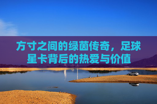 方寸之间的绿茵传奇，足球星卡背后的热爱与价值