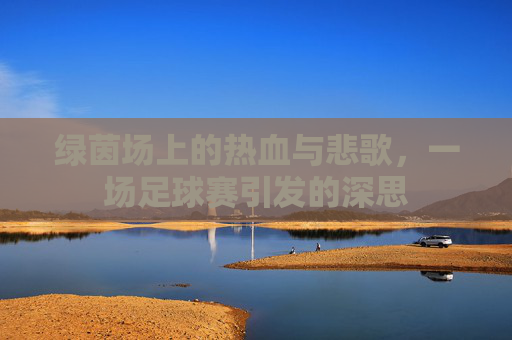 绿茵场上的热血与悲歌，一场足球赛引发的深思
