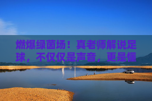 燃爆绿茵场！真老师解说足球，不仅仅是声音，更是懂球的灵魂