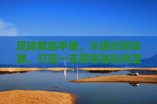 足球教练手册，从理论到实践，打造一支冠军球队的蓝图