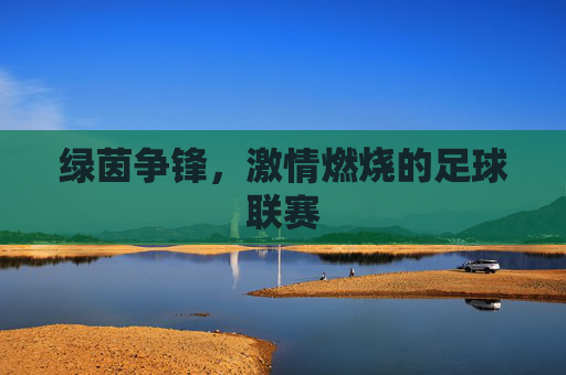 绿茵争锋，激情燃烧的足球联赛