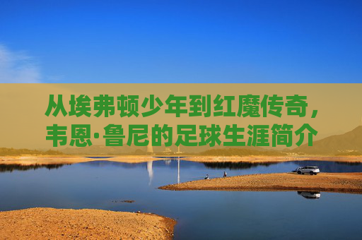 从埃弗顿少年到红魔传奇，韦恩·鲁尼的足球生涯简介