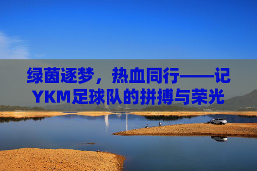 绿茵逐梦，热血同行——记YKM足球队的拼搏与荣光