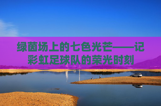 绿茵场上的七色光芒——记彩虹足球队的荣光时刻