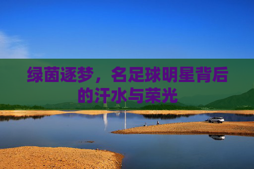 绿茵逐梦，名足球明星背后的汗水与荣光