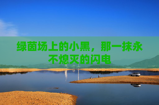绿茵场上的小黑，那一抹永不熄灭的闪电