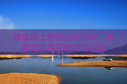 绿茵场上的热血与荣耀，甲组足球赛巅峰对决纪实
