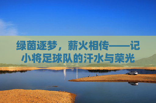 绿茵逐梦，薪火相传——记小将足球队的汗水与荣光