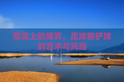 草皮上的博弈，足球赛铲球的艺术与风险