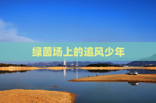 绿茵场上的追风少年