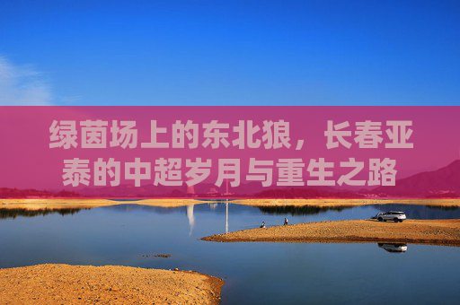 绿茵场上的东北狼，长春亚泰的中超岁月与重生之路