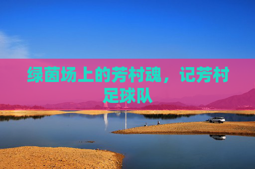 绿茵场上的芳村魂，记芳村足球队