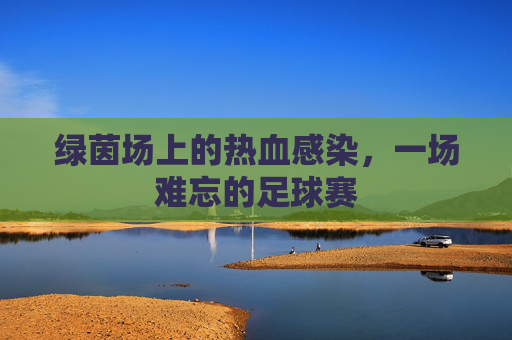绿茵场上的热血感染，一场难忘的足球赛